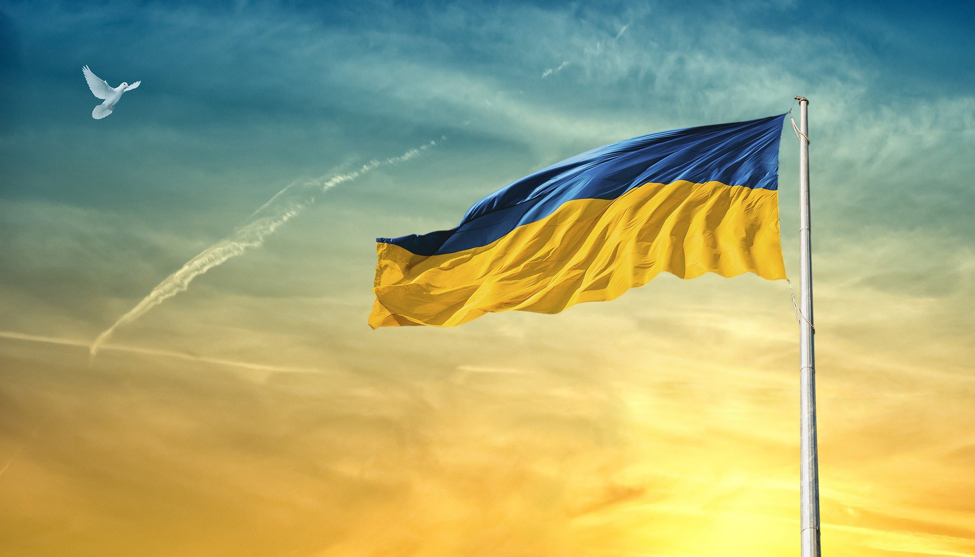 Ukraine-Fahne mit Friedenstaube