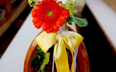 Homepage